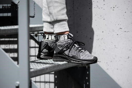 PUMA x Staple IGNITE EVOKNIT OREO